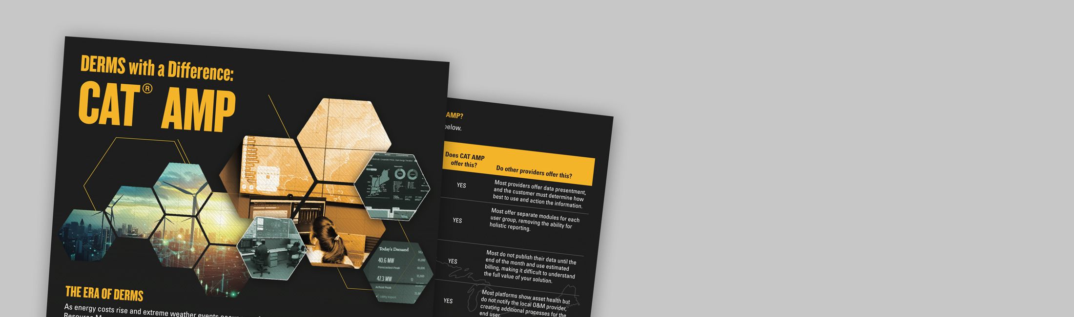 Cat AMP Brochure Download