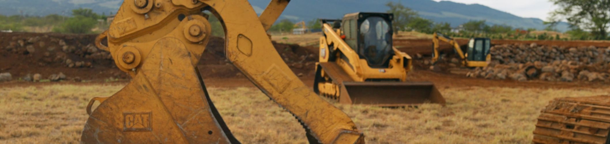 How Hawthorne Cat Fuels Ocean Organic Vodka's Sugar Cane Farm