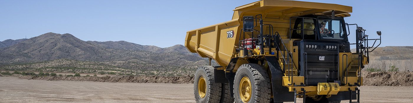 MANFAAT SEGERA DAN JANGKA PANJANG