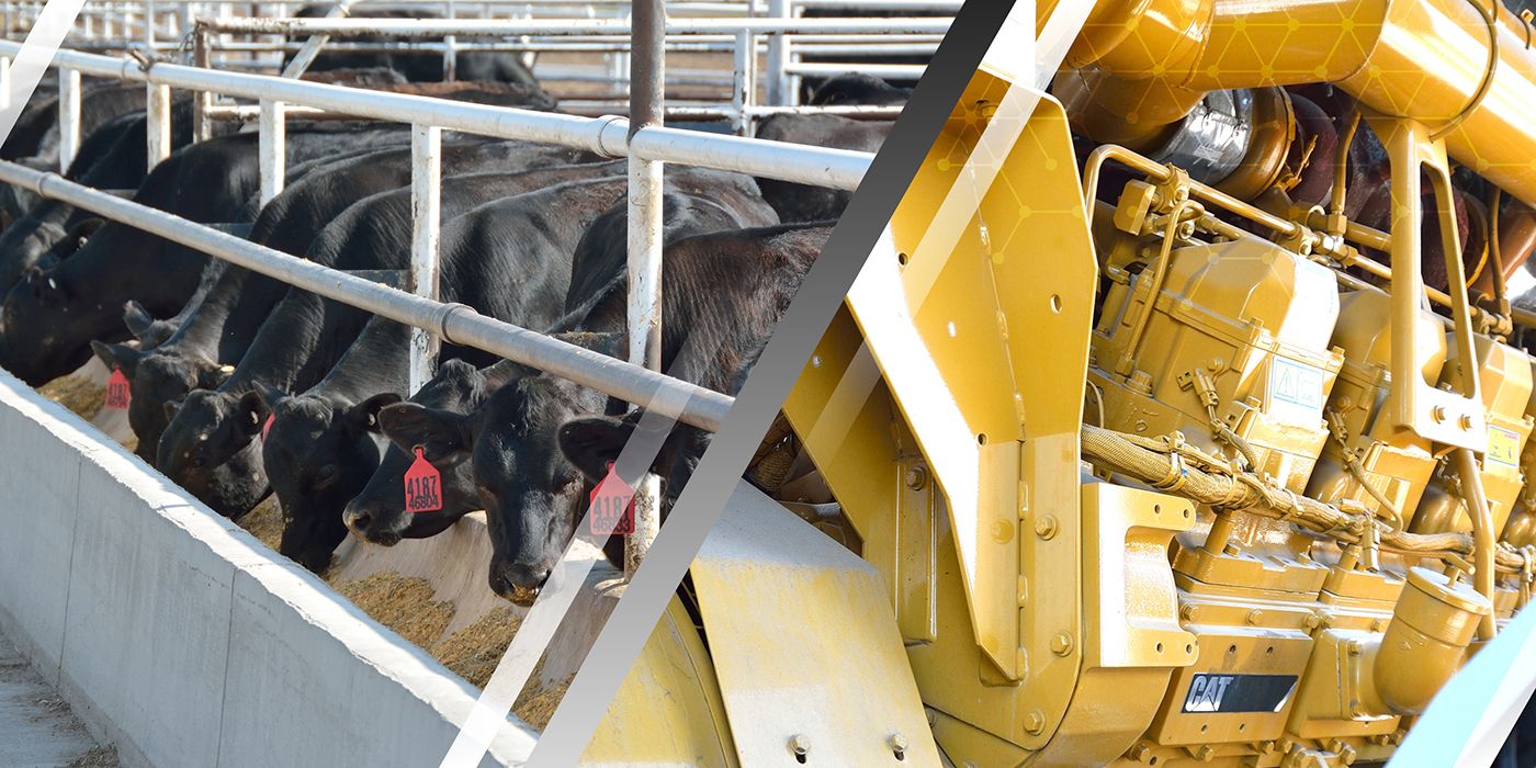 Three-part image showing cattle, a Cat generator, and silos at Wilroads Feed Yard