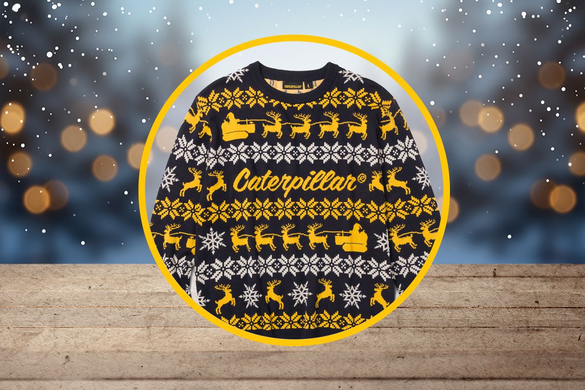 Cat Holiday Gift Guide