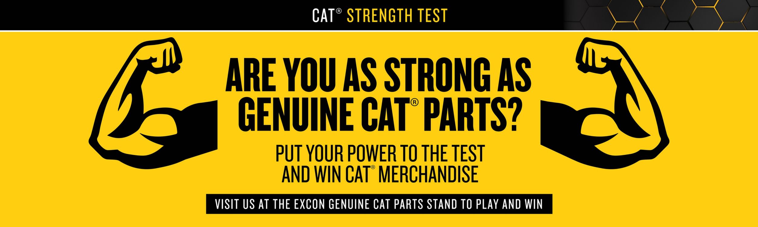 Cat Strength Test