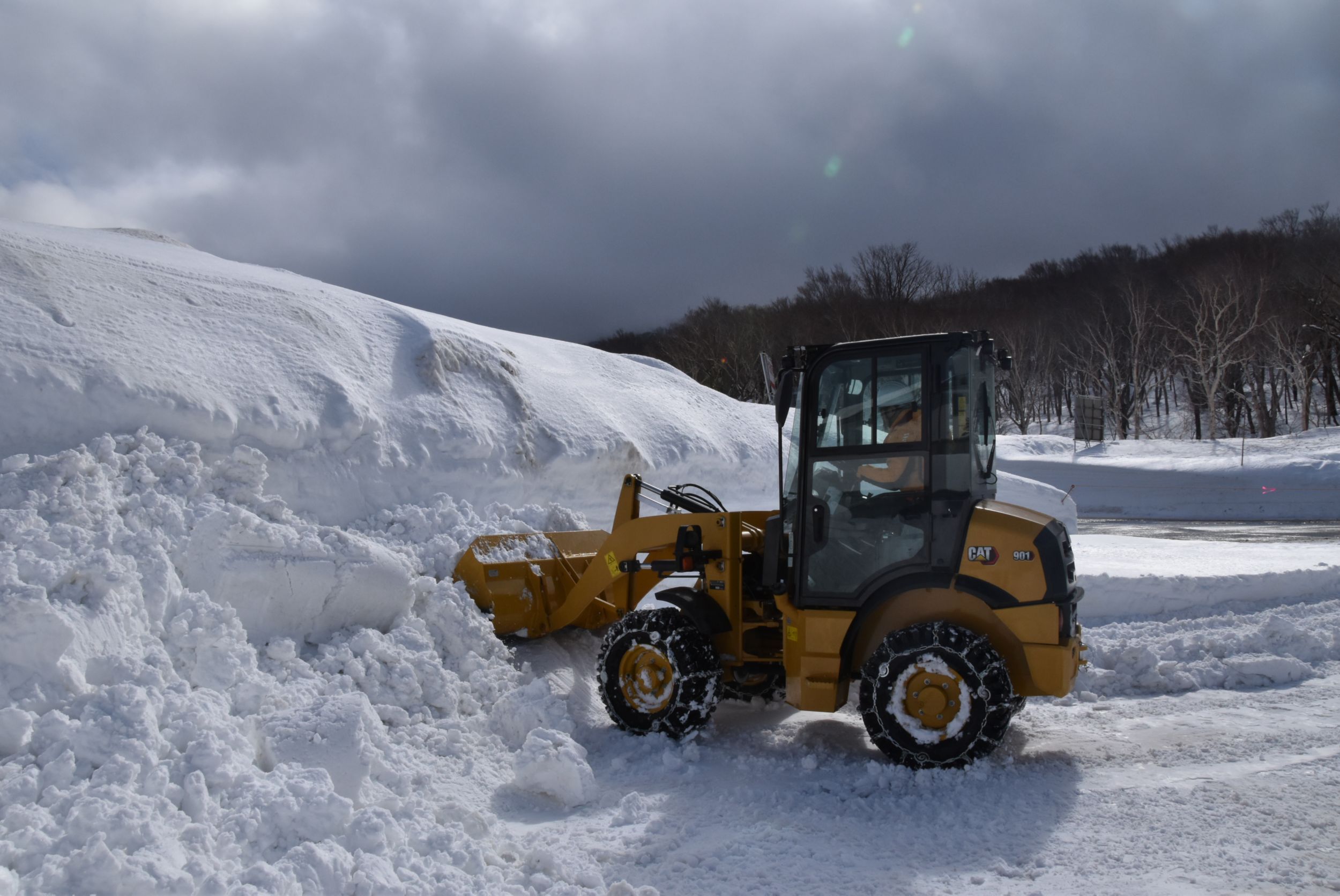 901（日本向け）