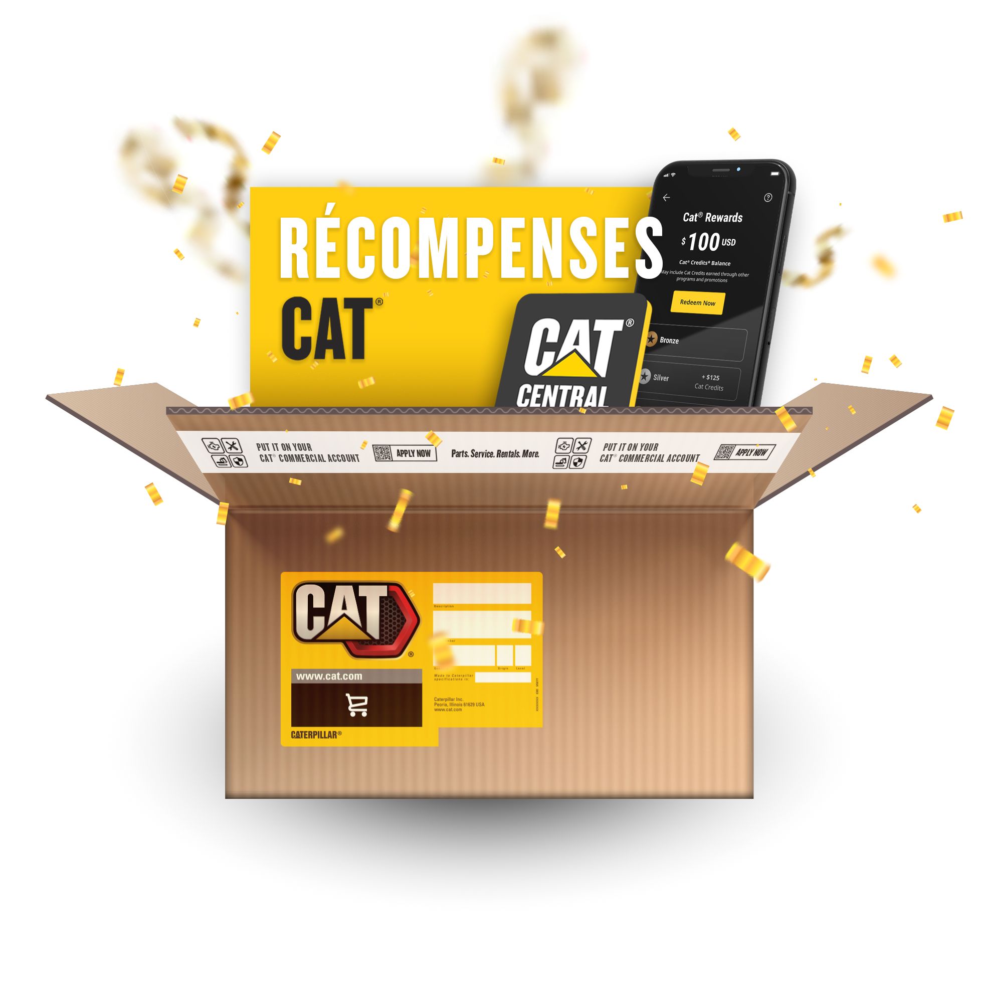 Cat Rewards