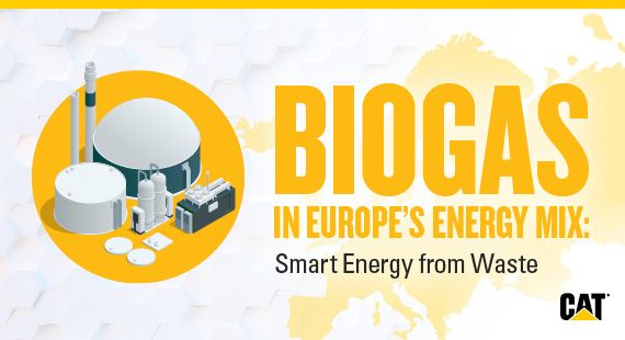 Biogas in Europe’s Energy Mix: Smart Energy from Waste