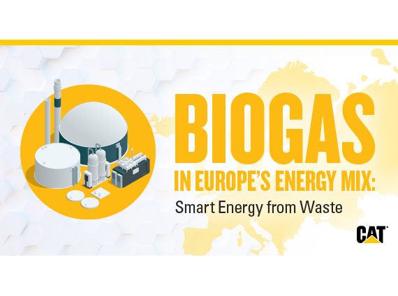 Biogas in Europe’s Energy Mix: Smart Energy from Waste