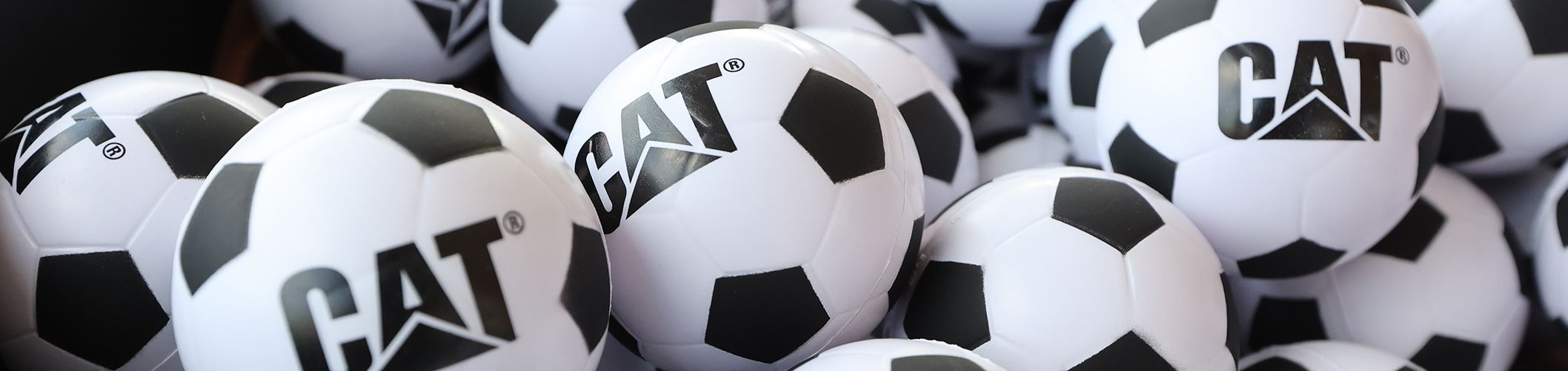 Cat MLS Soccer Balls
