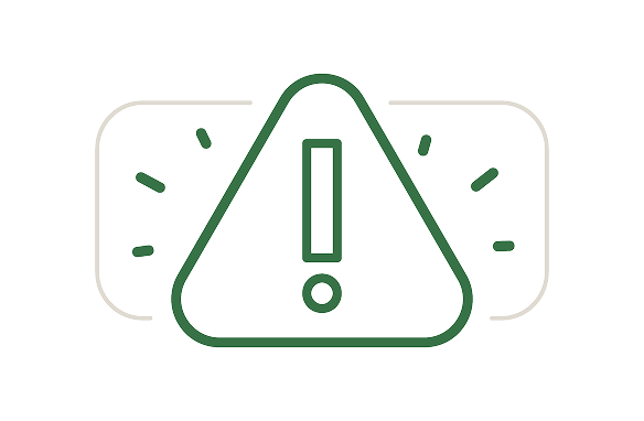 holistic inspection icon