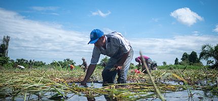people cleaning up water