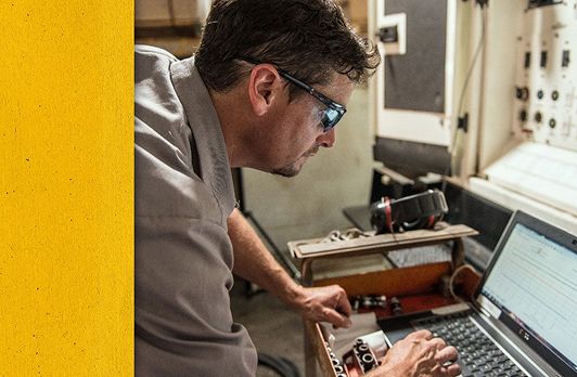 Cat employee working on a computer