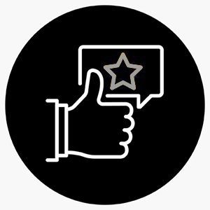 Priority service/thumb up Icon