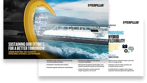 brochure mock up