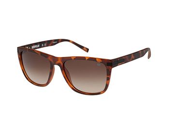 Women's Sunglasses