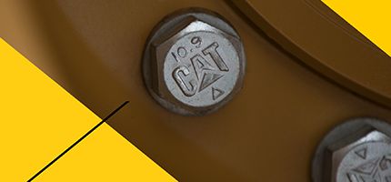 bolt with cat logo