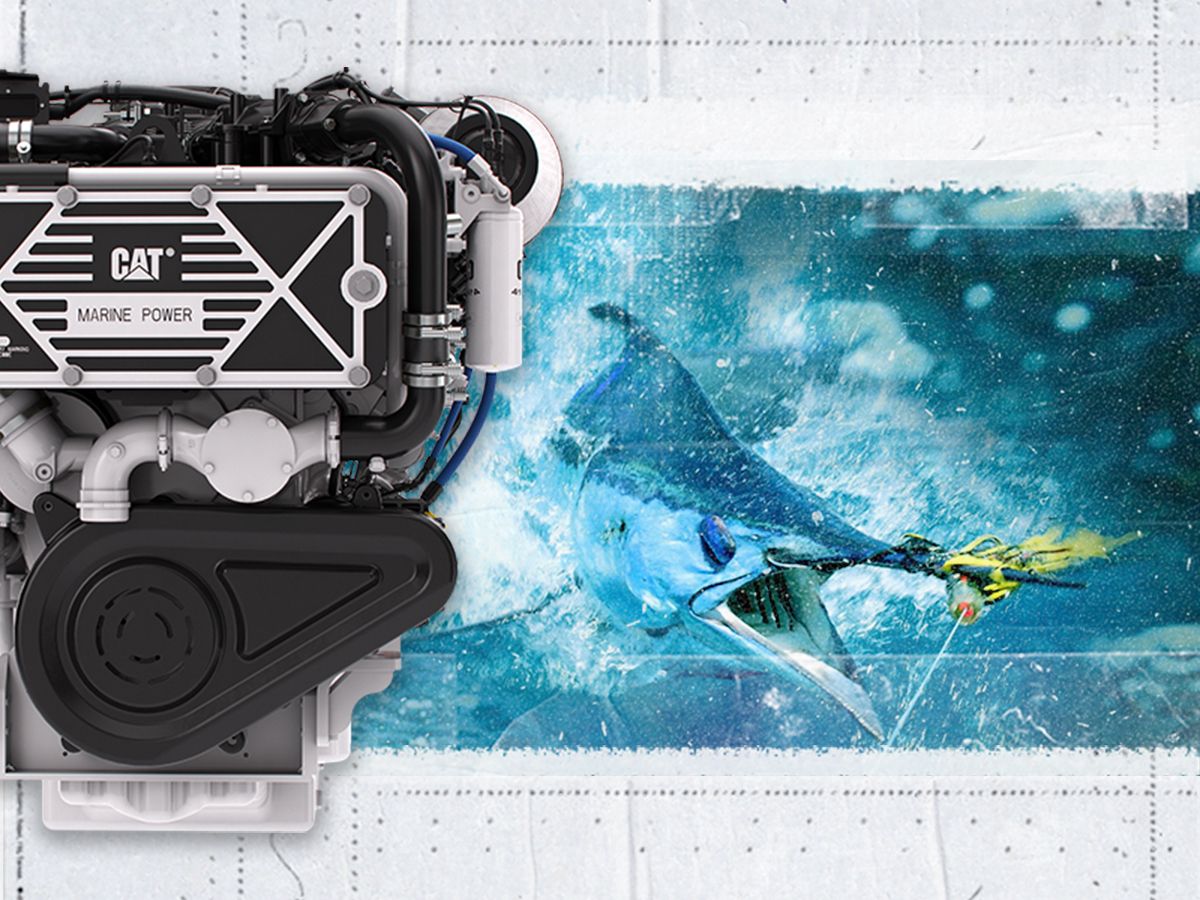 Cat C32B Engine next to a photo of a sword fish