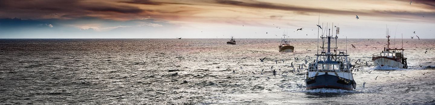 Commercial fishing vessels on the ocean with dozens of birds flying around