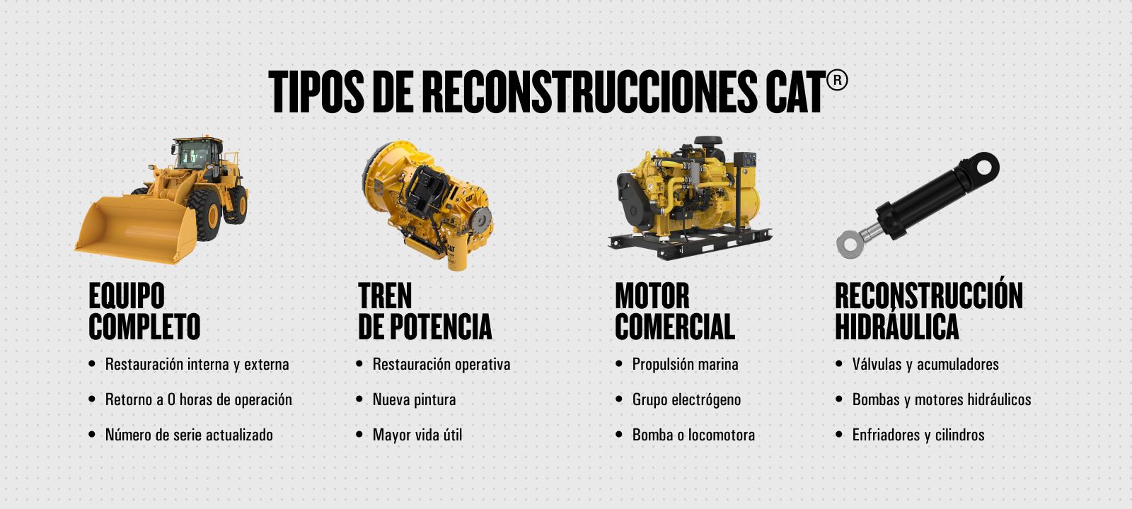 Tipos de Reconstrucciones Cat
