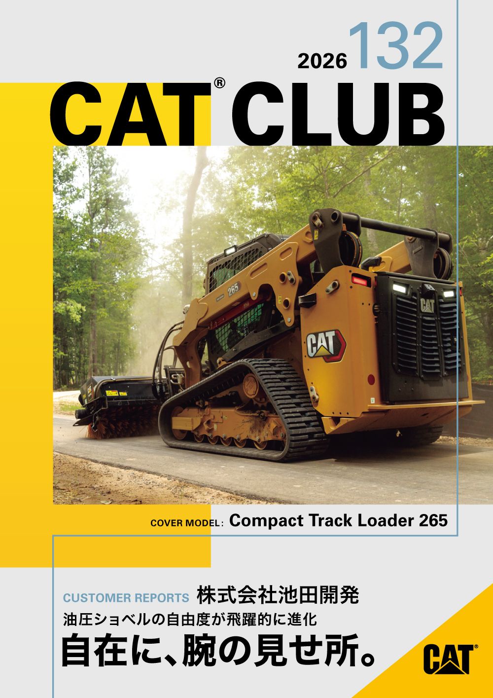 Cat Club 132 cover