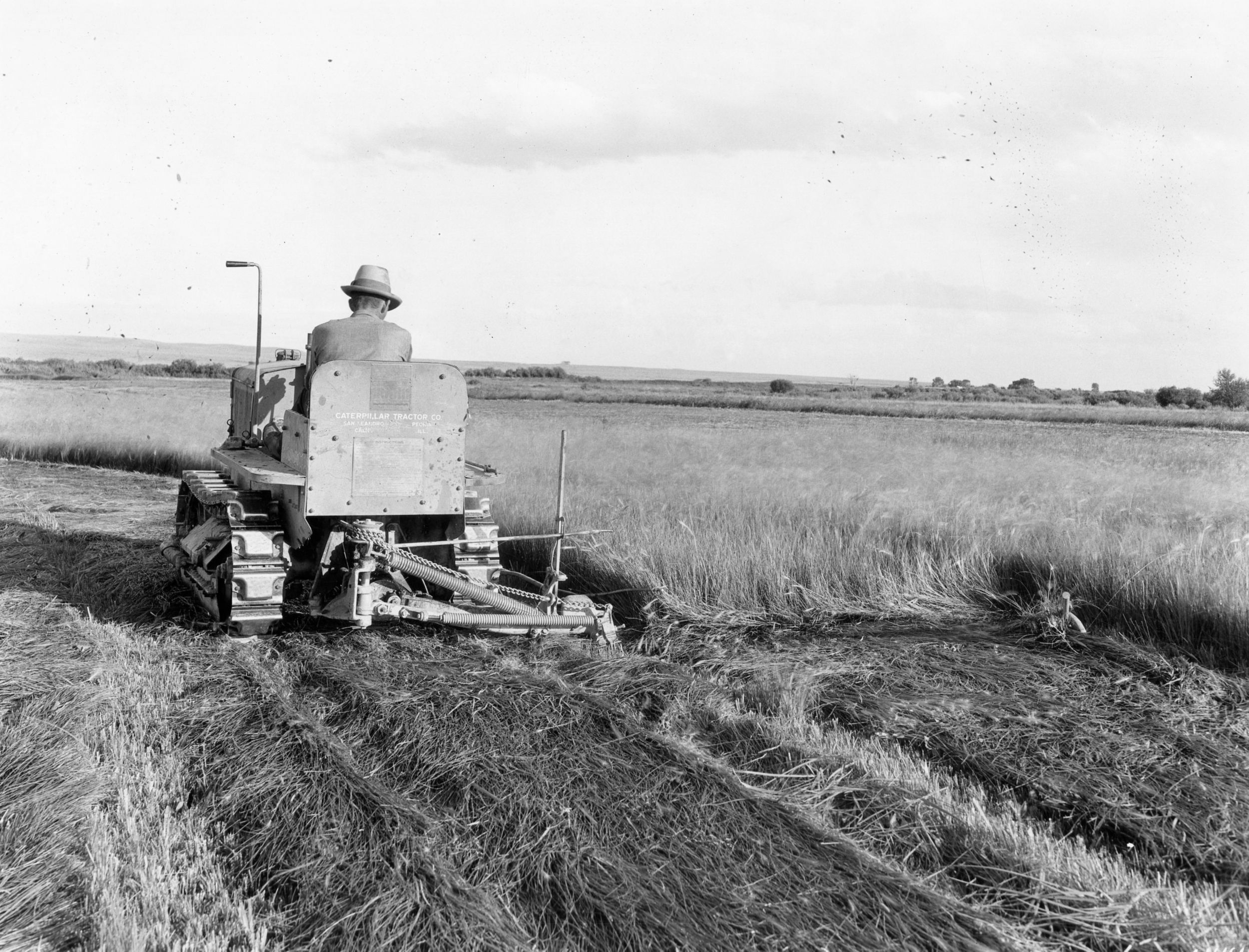 caterpillar mower