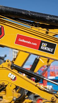 cat rentals