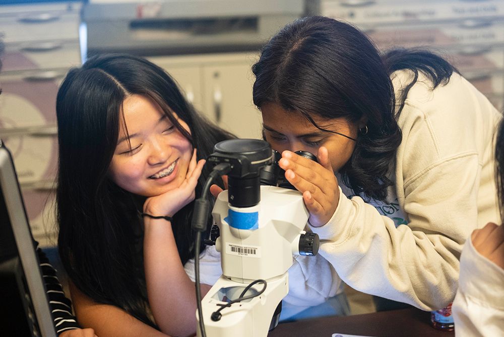 Two people looking in microscope
