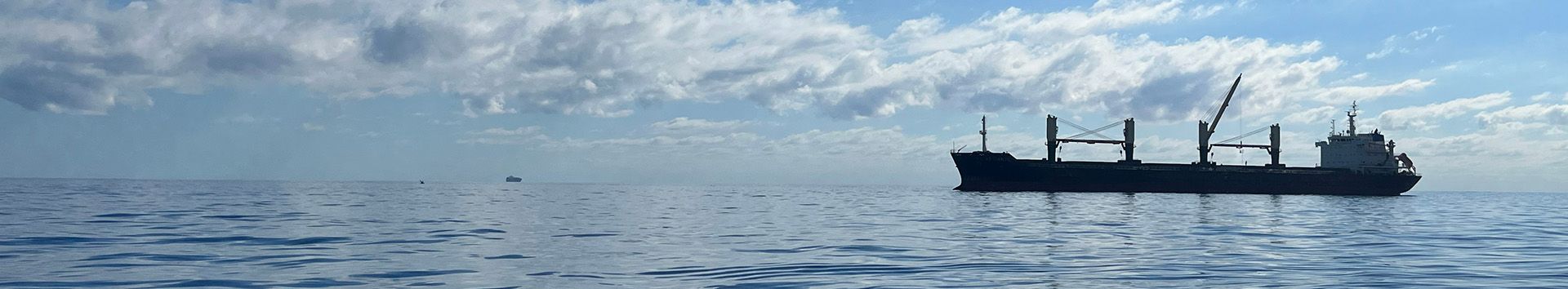 Cargo ship traveling in the distance