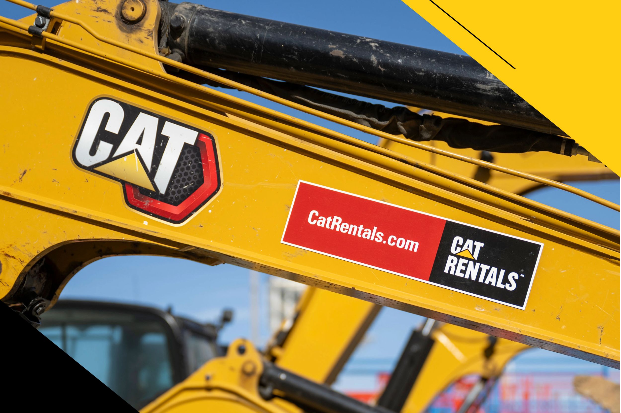 Cat Rentals