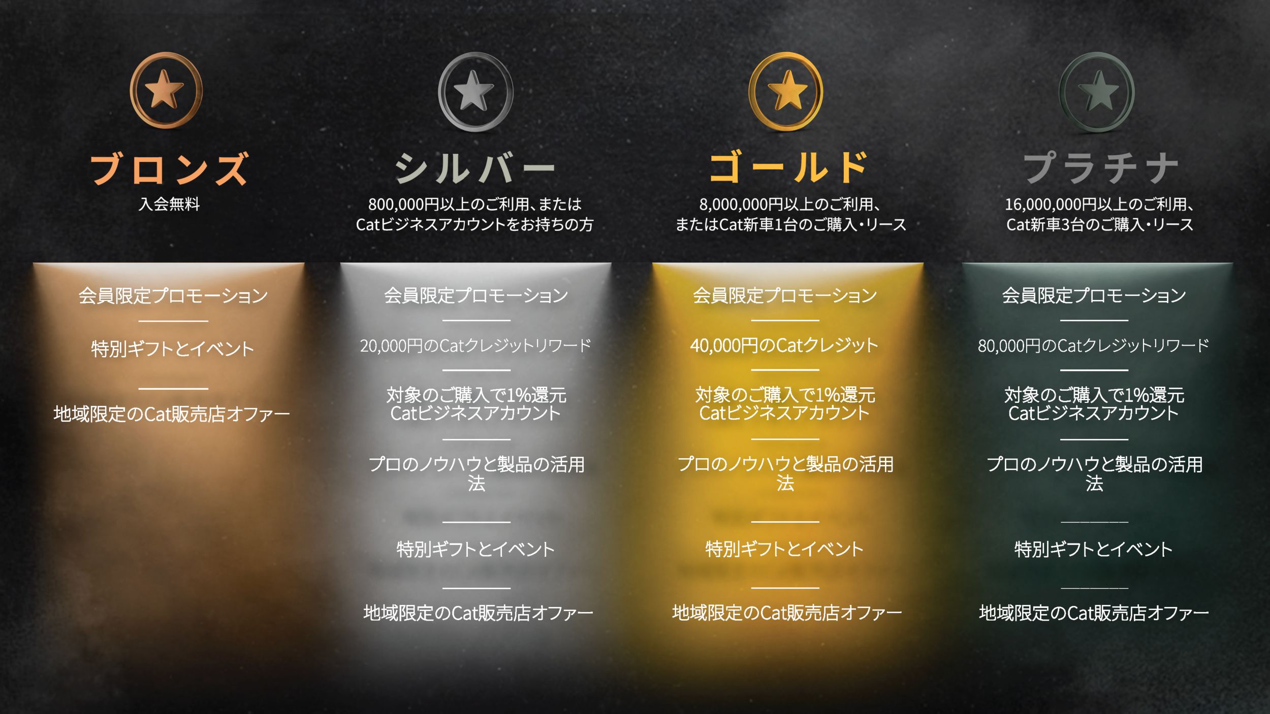 Cat Rewards Tiers