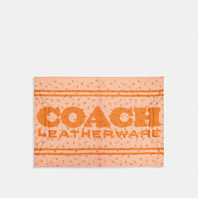 コーチ COACHの全てのレディースウェア |フローラル トリオ プリント オブロング スカーフ