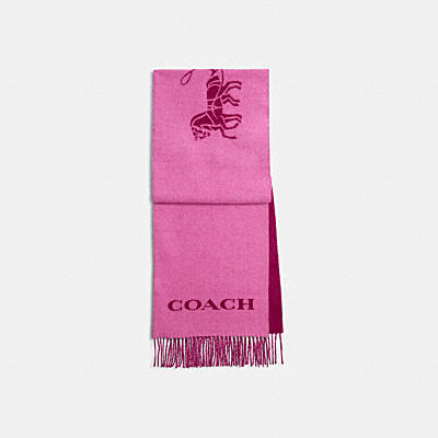 HORSE AND CARRIAGE CASHMERE MUFFLER