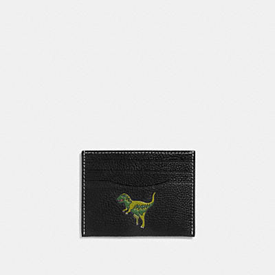 CARD CASE WITH REXY