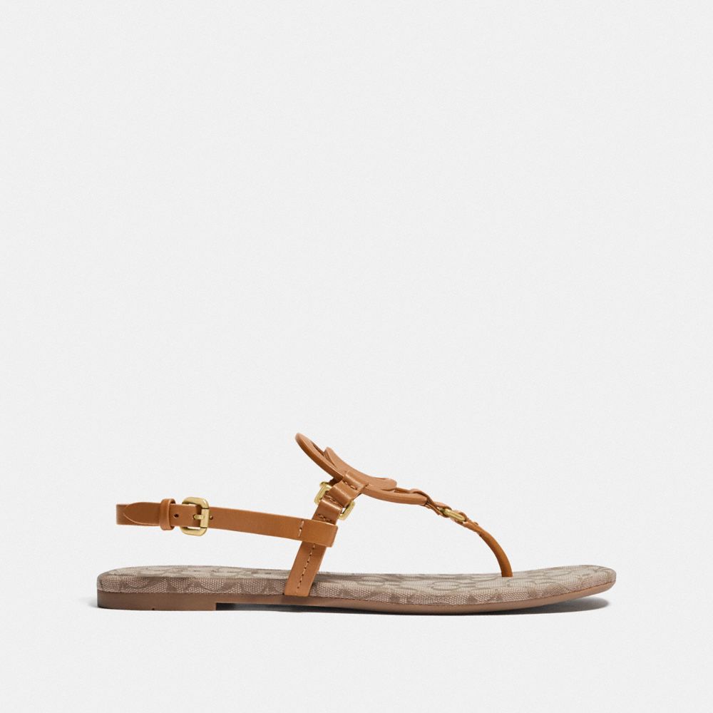 coach ladies shoes price