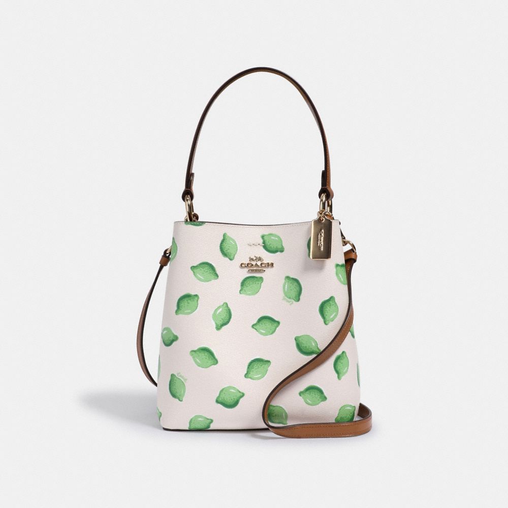 COACH Town Bucket Bag in Green