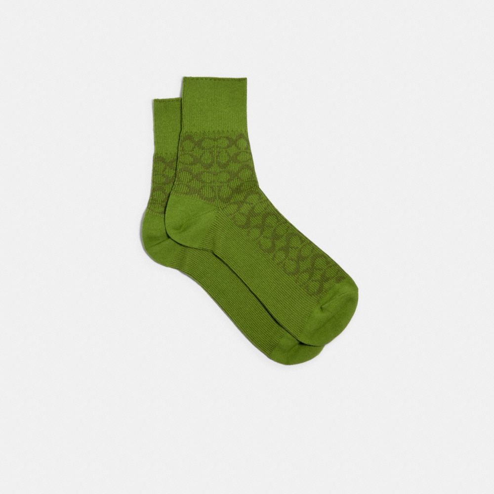 COACH 170 SIGNATURE COLOR SOCKS GREEN