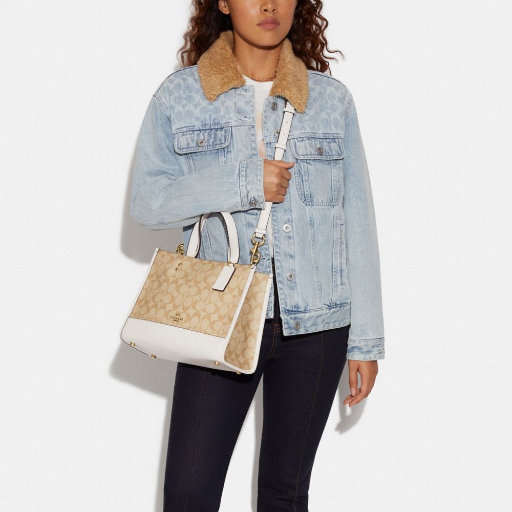 DEMPSEY CARRYALL IN SIGNATURE CANVAS