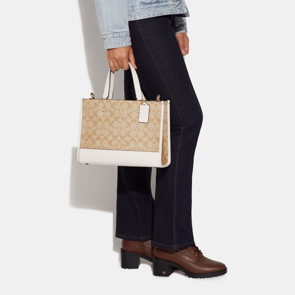 DEMPSEY CARRYALL IN SIGNATURE CANVAS