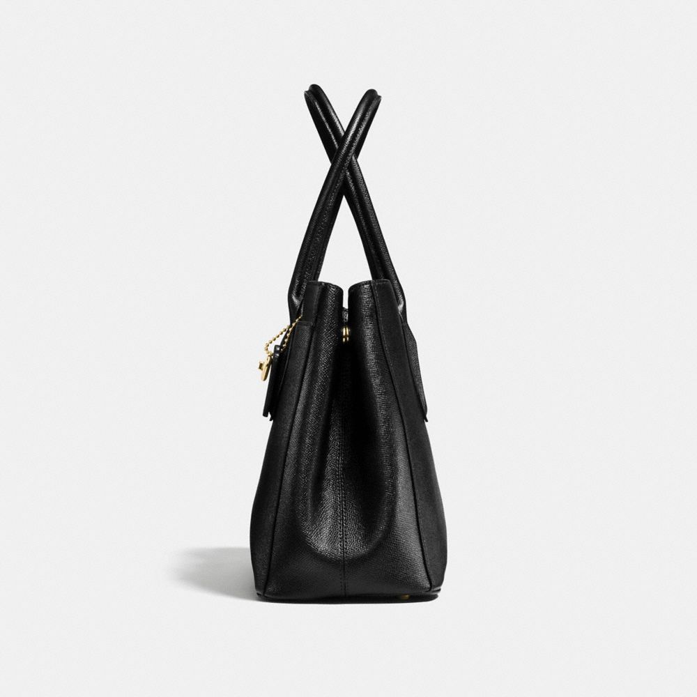 coach bailey carryall tote