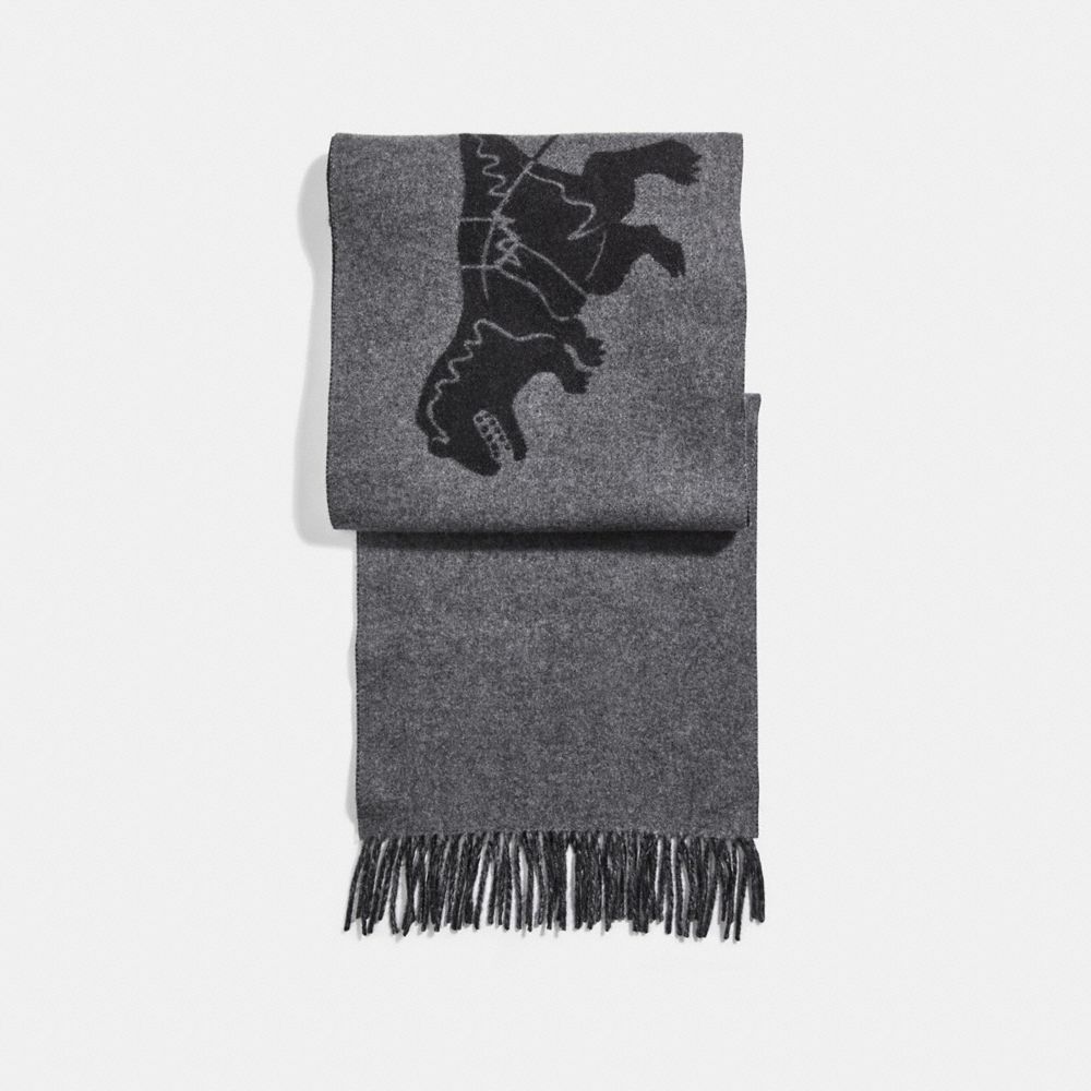 REXY AND CARRIAGE CASHMERE SCARF - 31793 - CHARCOAL/BLACK