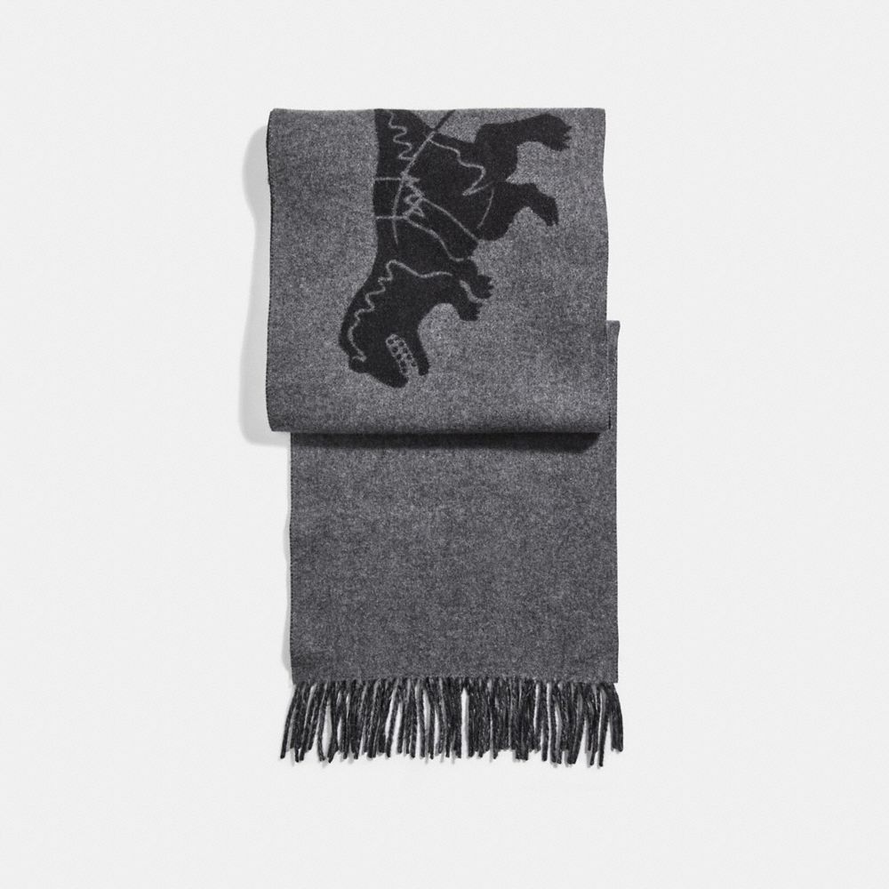 COACH 31793 Rexy And Carriage Cashmere Scarf CHARCOAL/BLACK