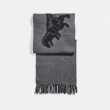 COACH REXY AND CARRIAGE CASHMERE SCARF - CHARCOAL/BLACK - 31793