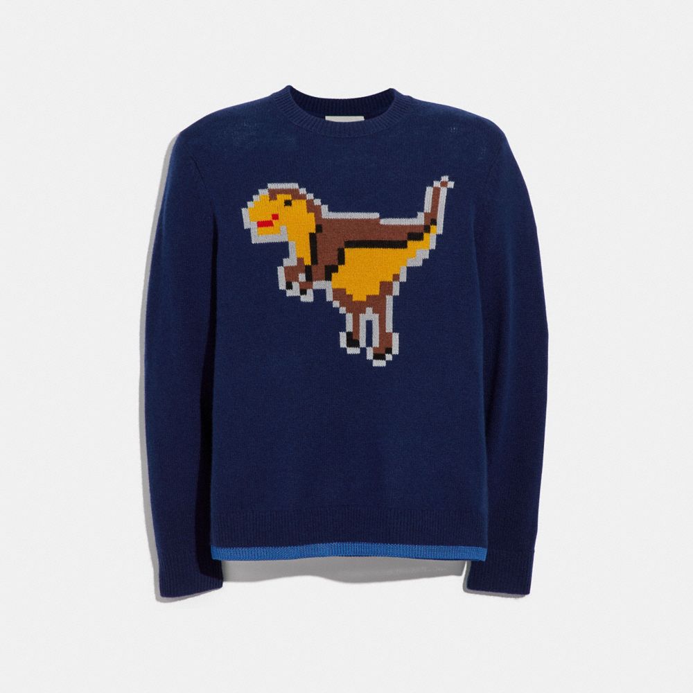 COACH 41356 - PIXEL REXY INTARSIA SWEATER NAVY