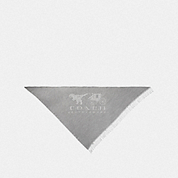 REXY AND CARRIAGE OVERSIZED TRIANGLE - LIGHT GREY/CHALK - COACH 41880