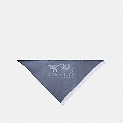 REXY AND CARRIAGE OVERSIZED TRIANGLE - DENIM/LIGHT GREY - COACH 41880