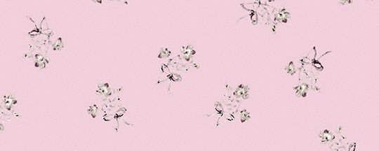 HORSE AND CARRIAGE SILK SQUARE SCARF-BLOSSOM