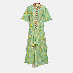 COACH 4263 Apple Print Long Ruffle Shirt Dress MINT/YELLOW