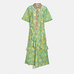 APPLE PRINT LONG RUFFLE SHIRT DRESS - MINT/YELLOW - COACH 4263