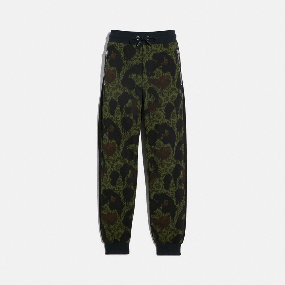 COACH 43436 Track Pants WILD BEAST FLORAL