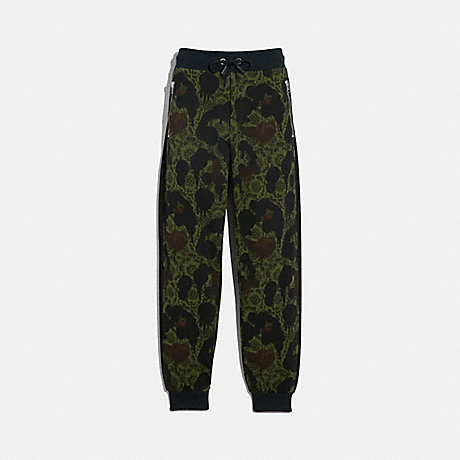 COACH 43436 TRACK PANTS WILD BEAST FLORAL