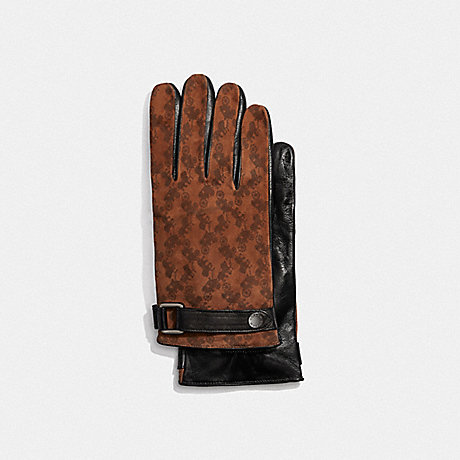 COACH Horse And Carriage Tech Napa Gloves - SADDLE - 5044