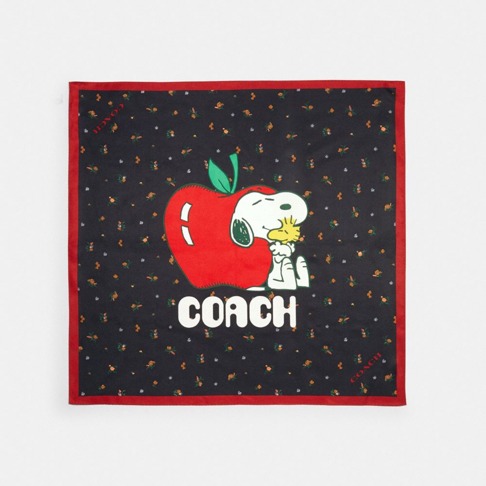 COACH 5298 Coach X Peanuts Snoopy Silk Bandana BLACK